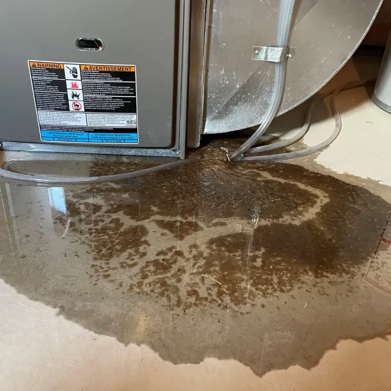 Appliance Leak Cleanup in Meadowbrook, VA