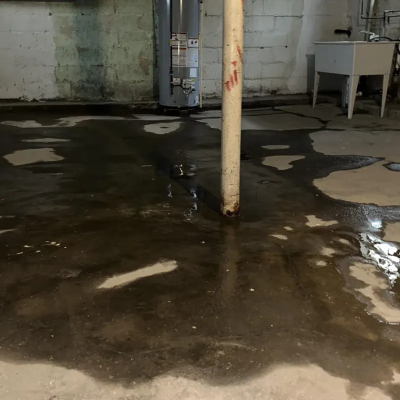 Emergency Water Extraction And Removal in Meadowbrook, VA